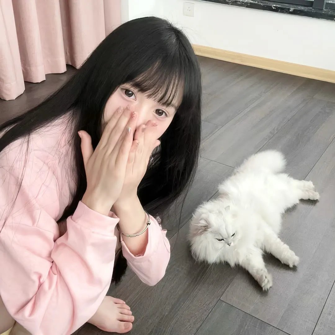 海豚伯尼2